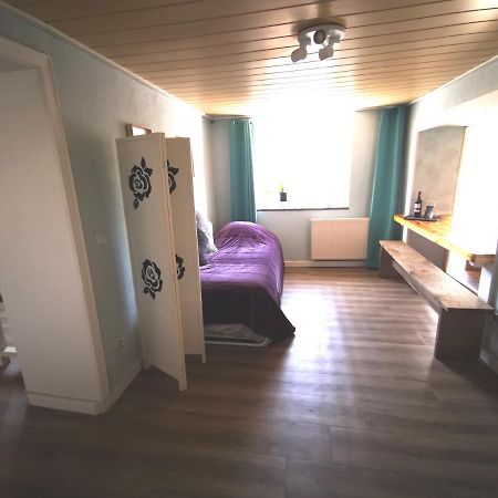 Mooi Ruim Appartement In Antieke Stadsboerderij Schönecken Zewnętrze zdjęcie