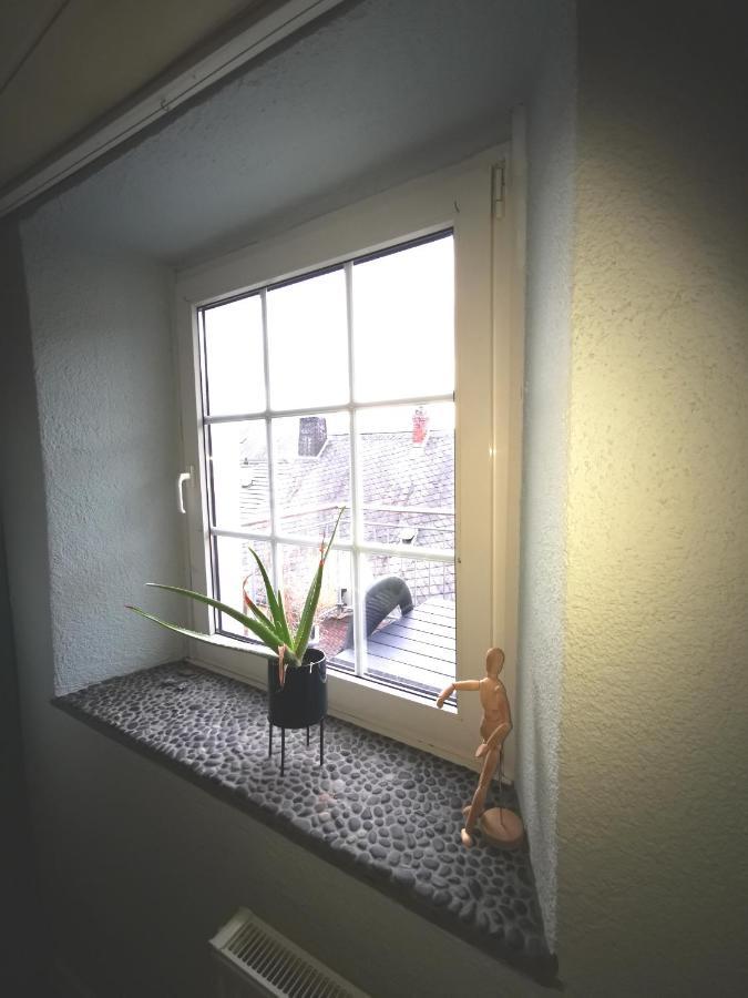 Mooi Ruim Appartement In Antieke Stadsboerderij Schönecken Zewnętrze zdjęcie