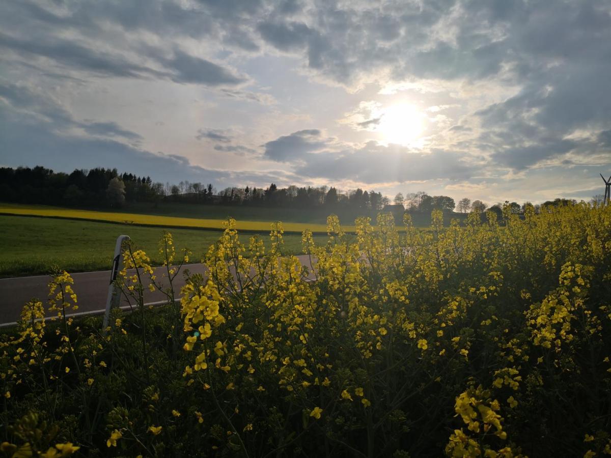 Mooi Ruim Appartement In Antieke Stadsboerderij Schönecken Zewnętrze zdjęcie