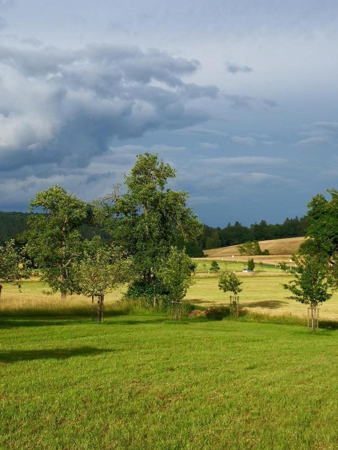 Mooi Ruim Appartement In Antieke Stadsboerderij Schönecken Zewnętrze zdjęcie