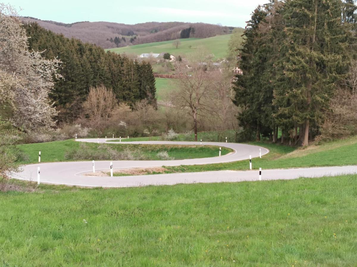 Mooi Ruim Appartement In Antieke Stadsboerderij Schönecken Zewnętrze zdjęcie