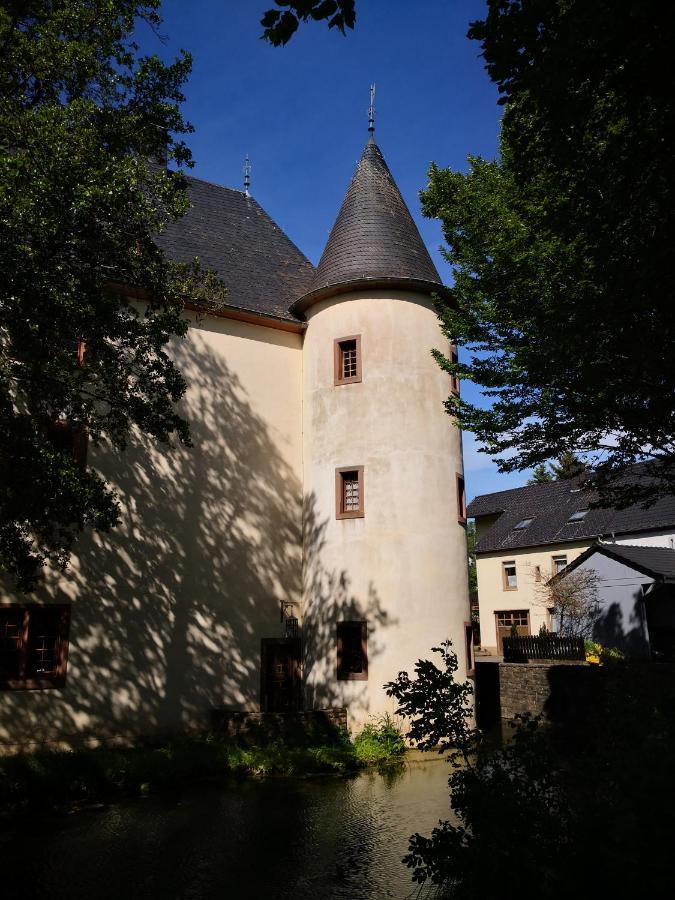 Mooi Ruim Appartement In Antieke Stadsboerderij Schönecken Zewnętrze zdjęcie