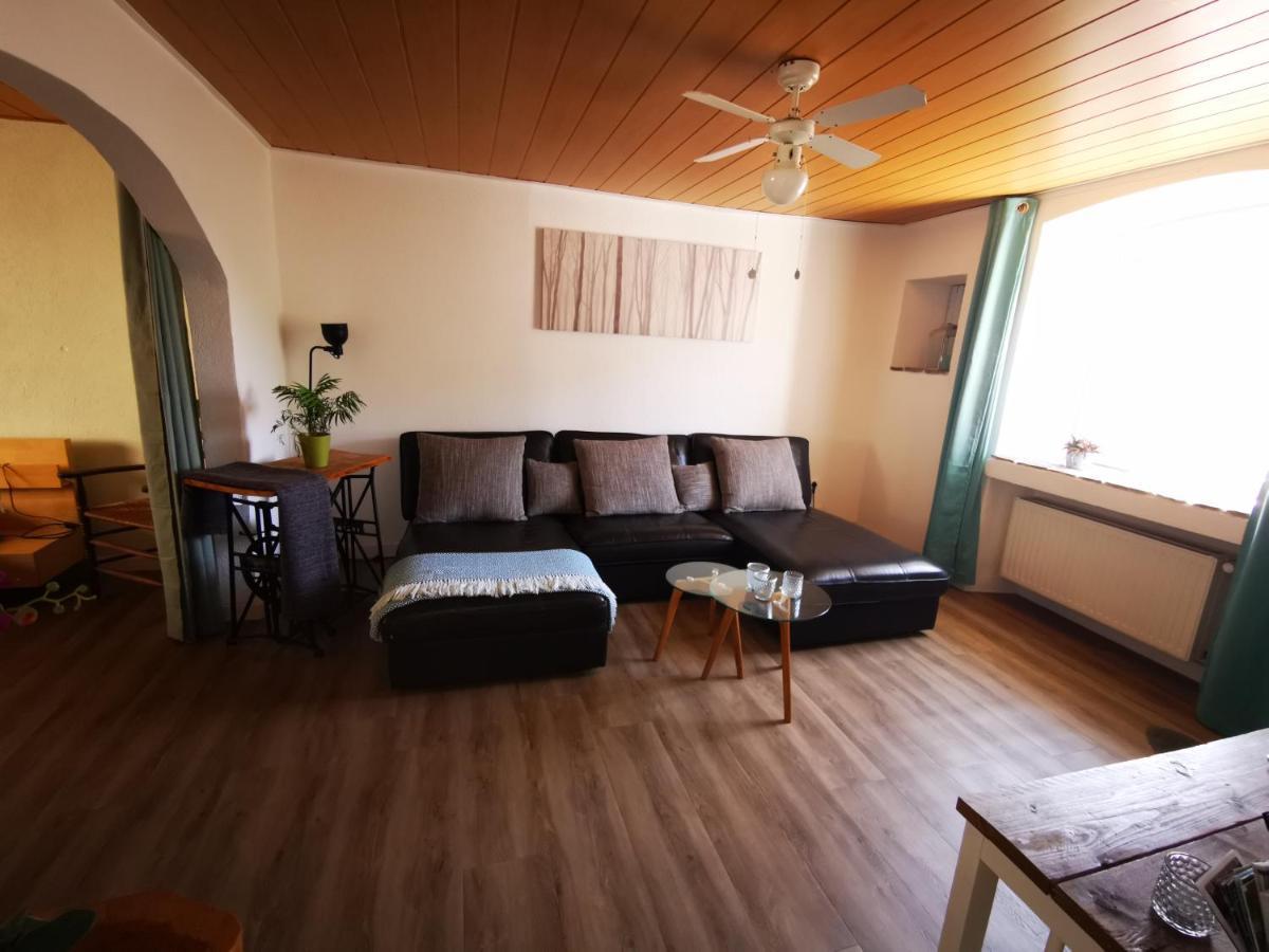 Mooi Ruim Appartement In Antieke Stadsboerderij Schönecken Zewnętrze zdjęcie
